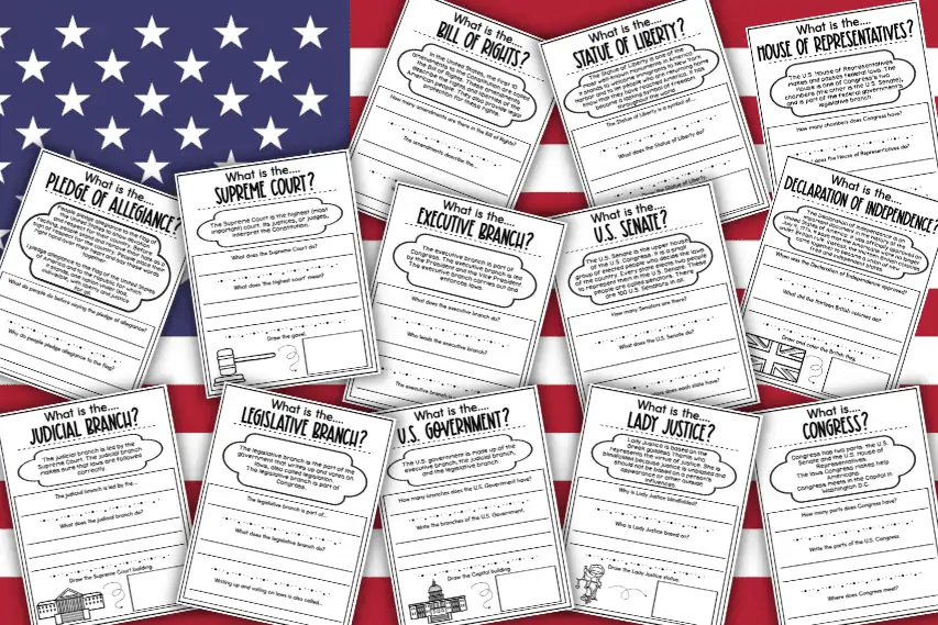 13 Free Government Worksheets. What Is the US Government?