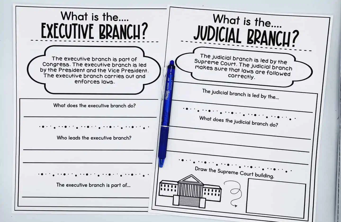 What is the executive branch, and what is the judicial branch worksheets