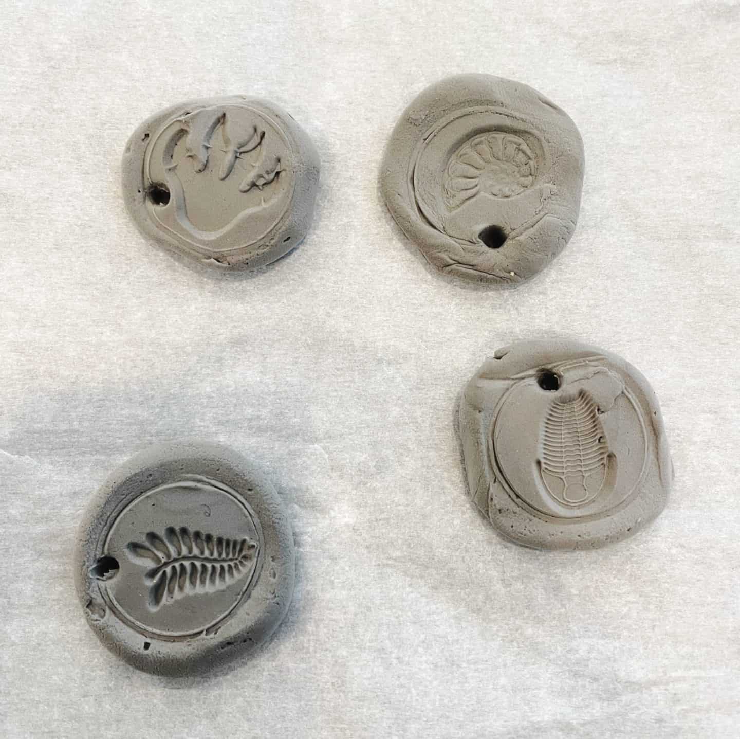 stamping fossil shapes