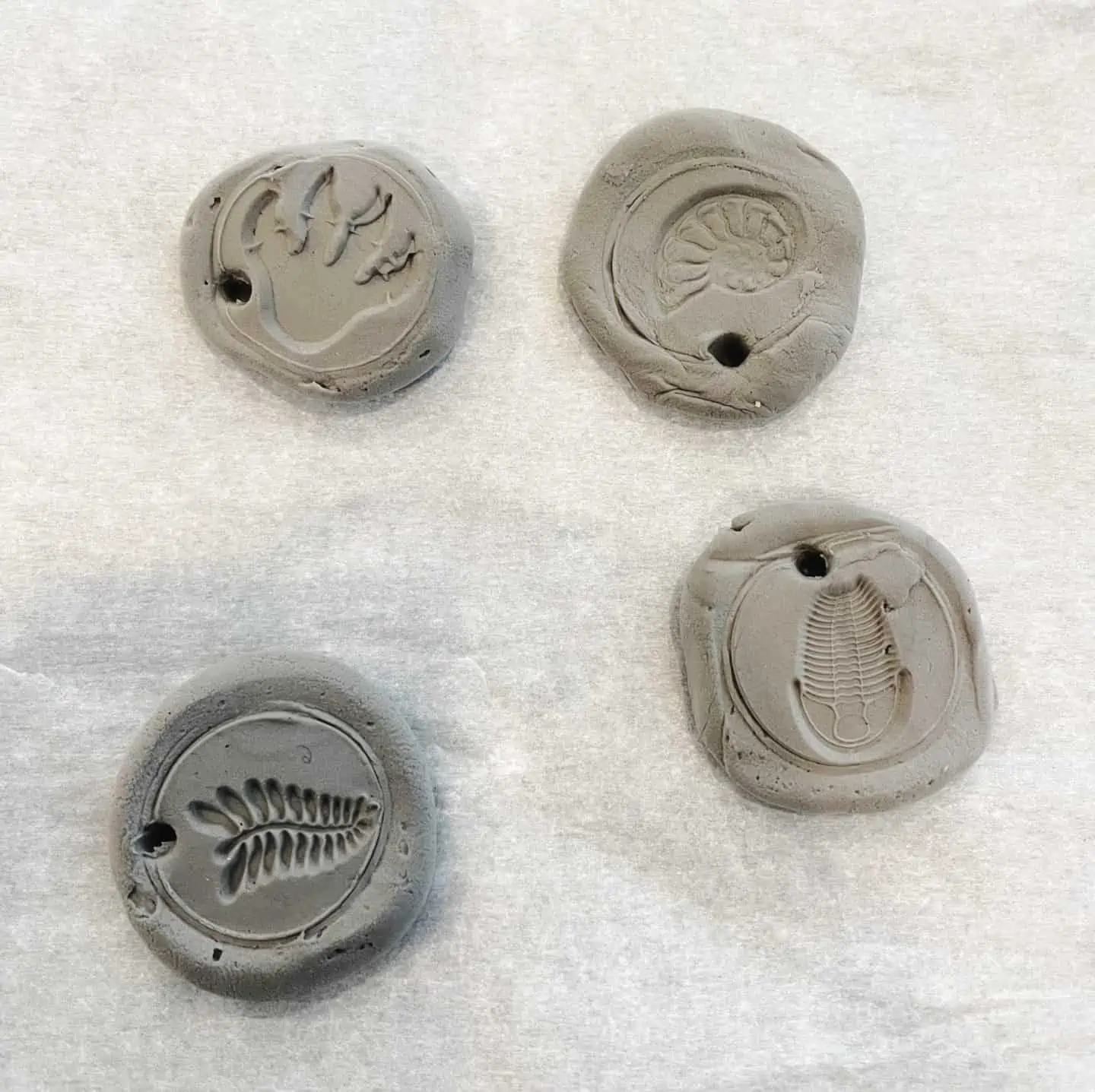 stamping fossil shapes