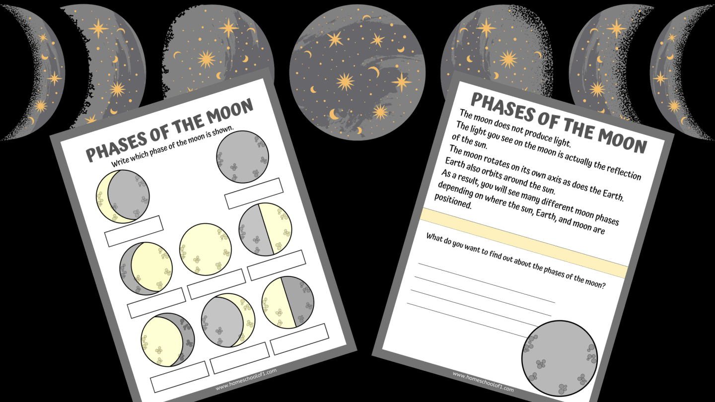 PRINTABLE PHASES OF THE MOON WORKSHEETS