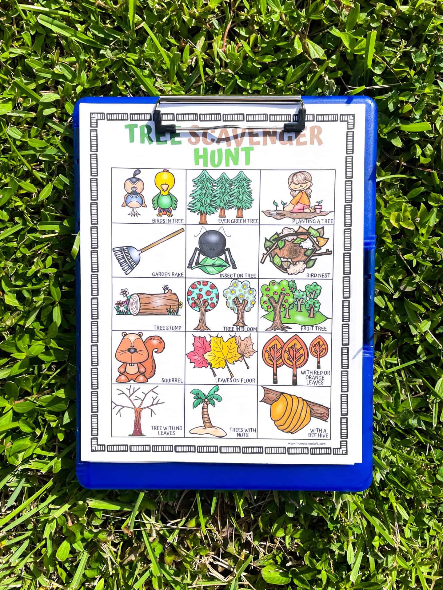 tree scavenger hunt worksheet on a blue storage clipboard sitting on the grass. 