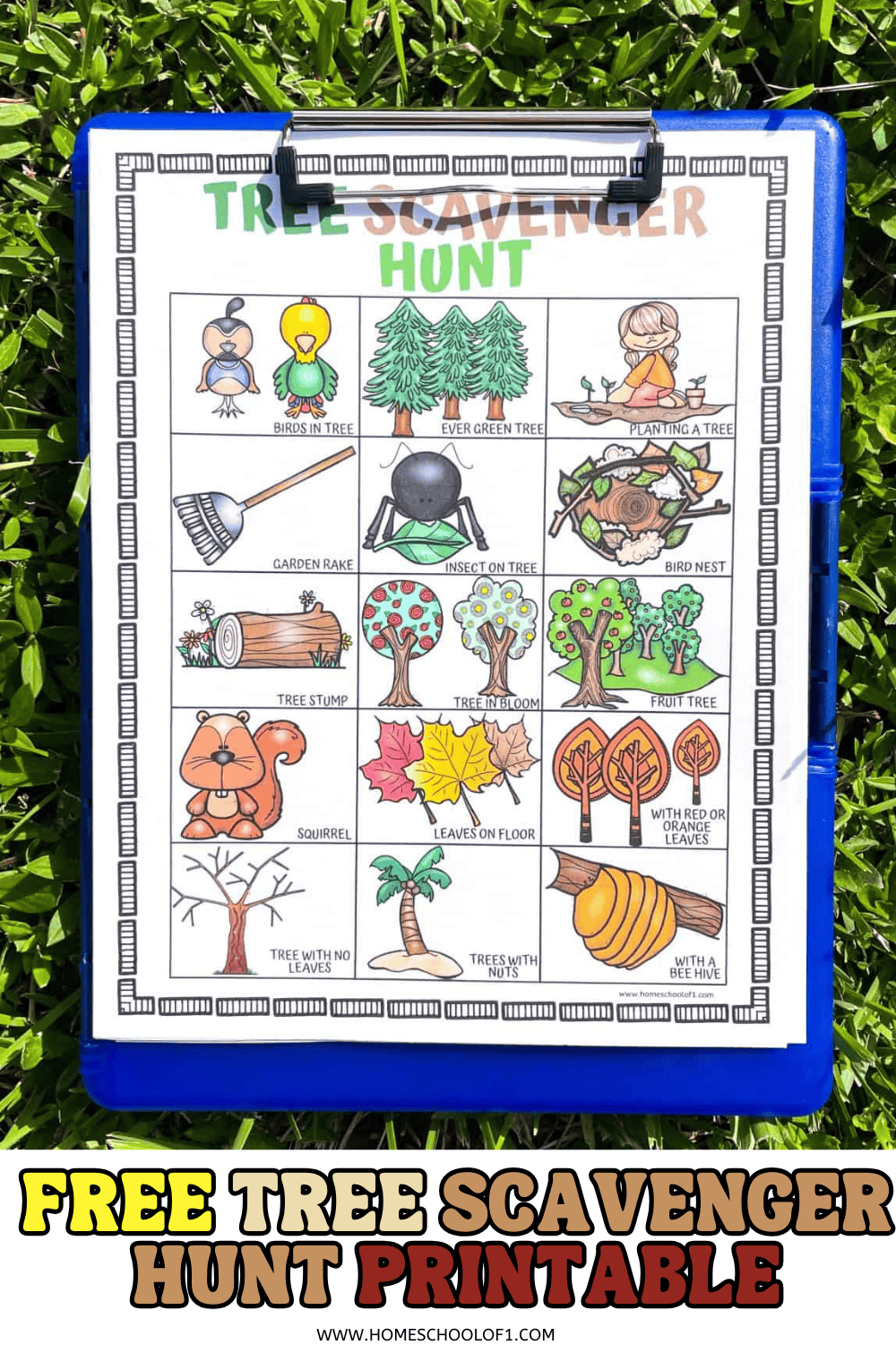 tree scavenger hunt