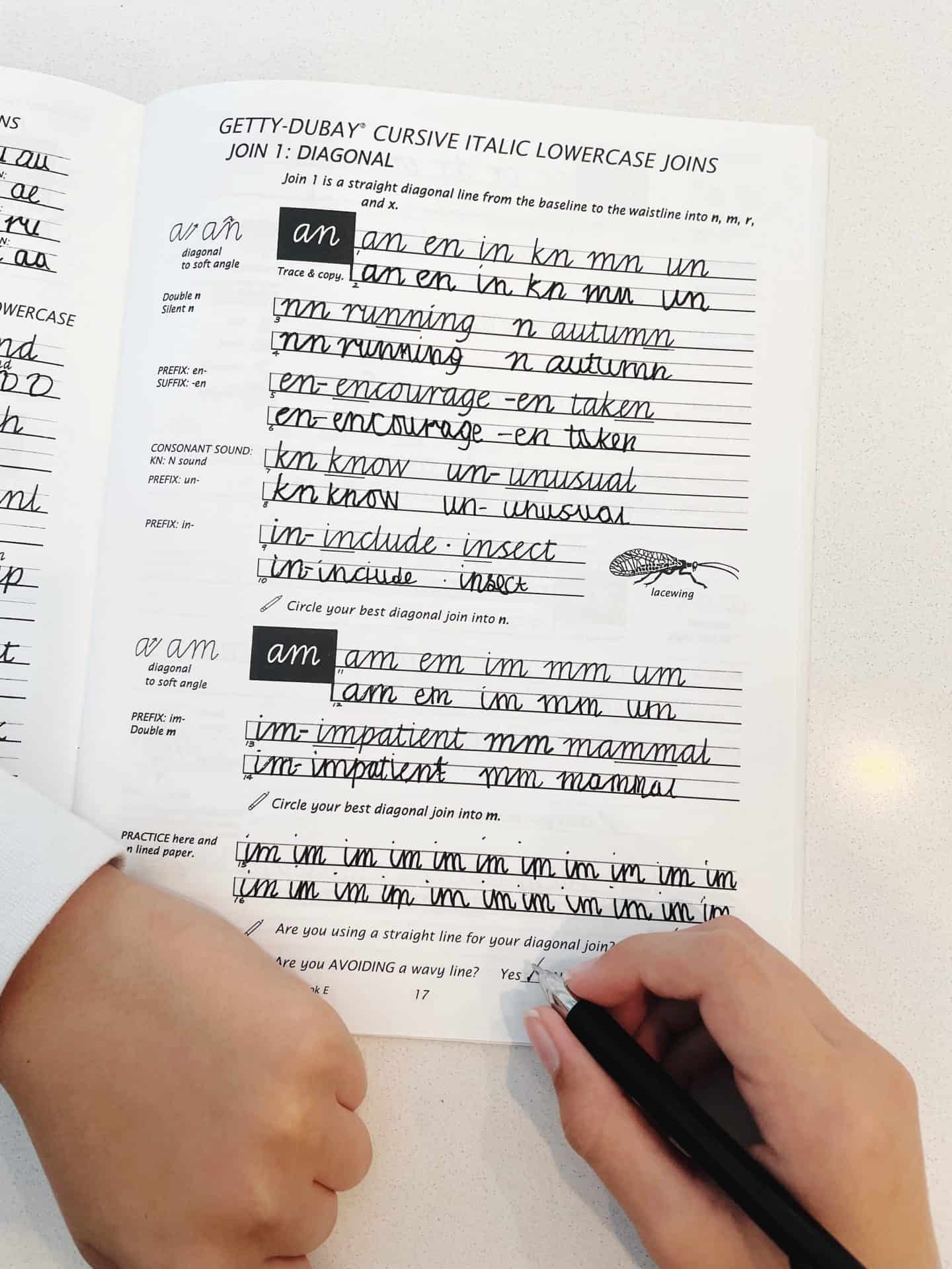 cursive workbook