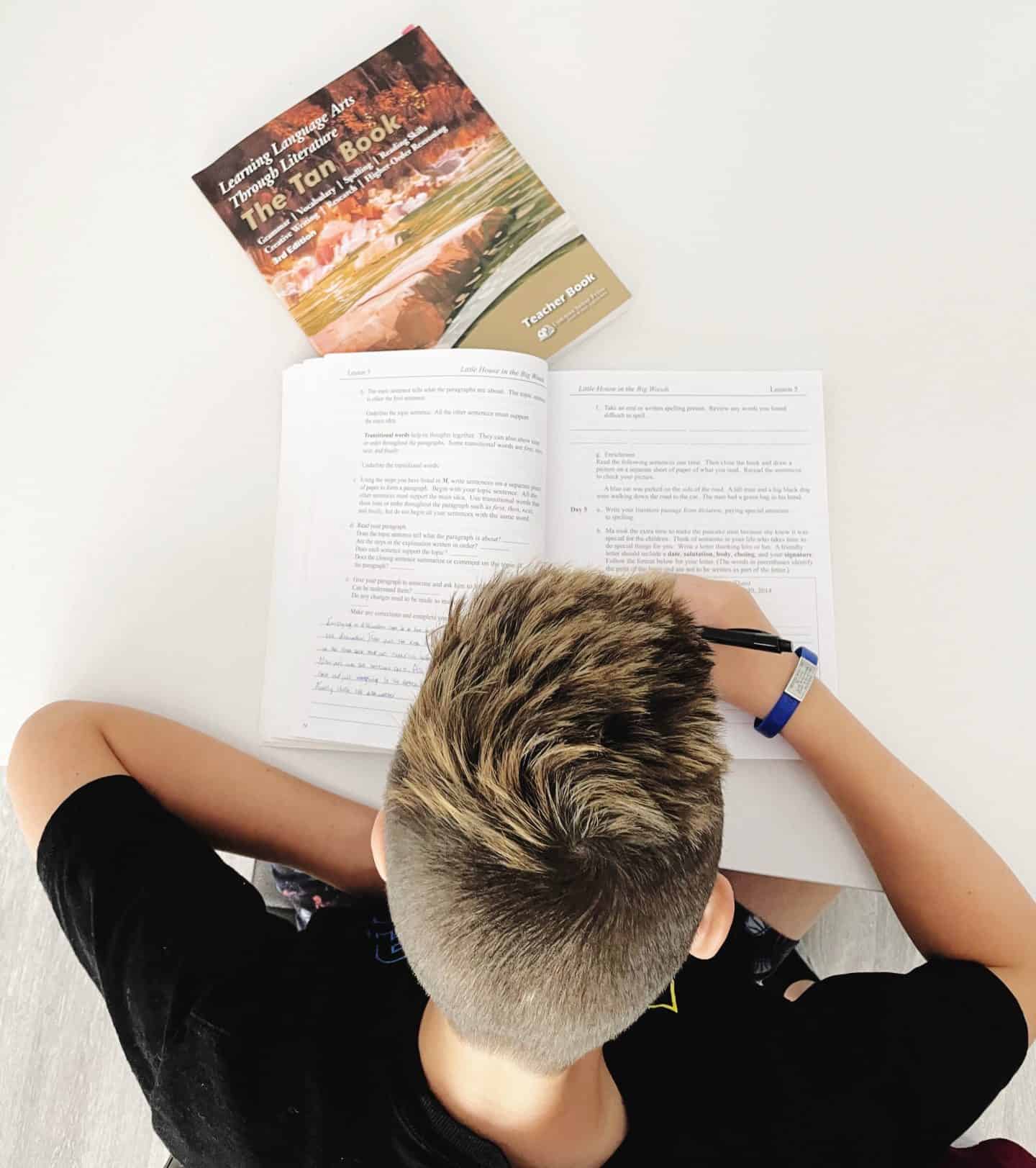 A teen boy studying with Learning Language Arts Through Literature curriculum. 