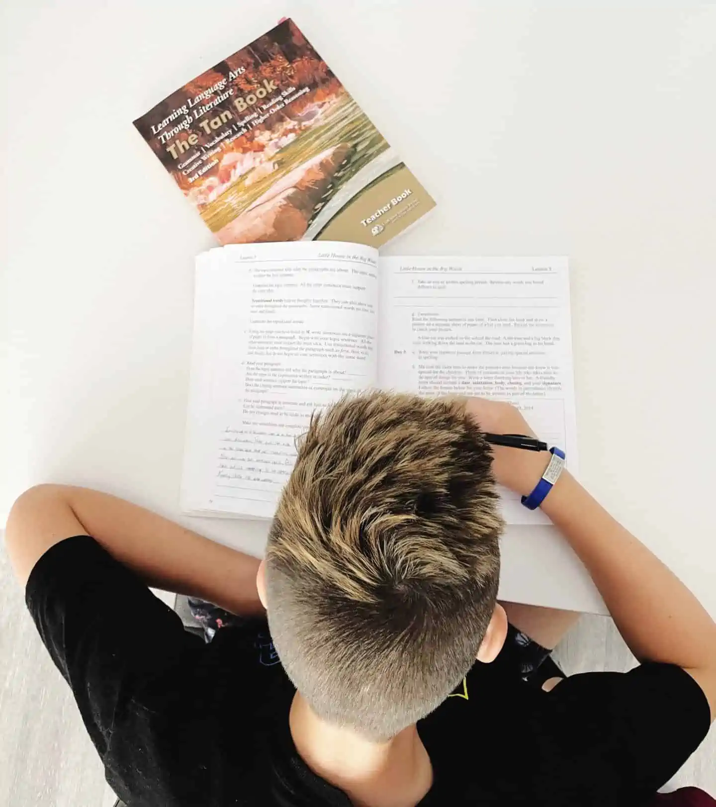 Homeschool language arts curriculum