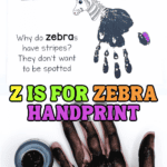 Z is for Zebra handprint craft activity featuring a zebra drawing with a painted black handprint as its body. The text reads 'Z is for Zebra' and 'Why do zebras have stripes? They don't want to be spotted.' Below is a photo of a child’s hand covered in black paint next to a paint jar, ready to make the handprint. Colorful markers and bold text emphasize the playful, educational theme.