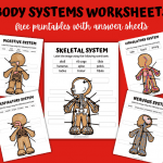 BODY SYSTEMS PRINTABLES