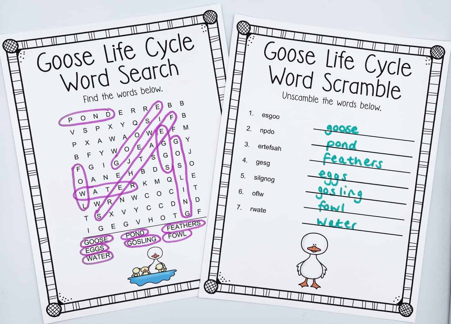 Two goose life cycle worksheets: a word search with terms like pond and gosling, and a word scramble with handwritten answers.
