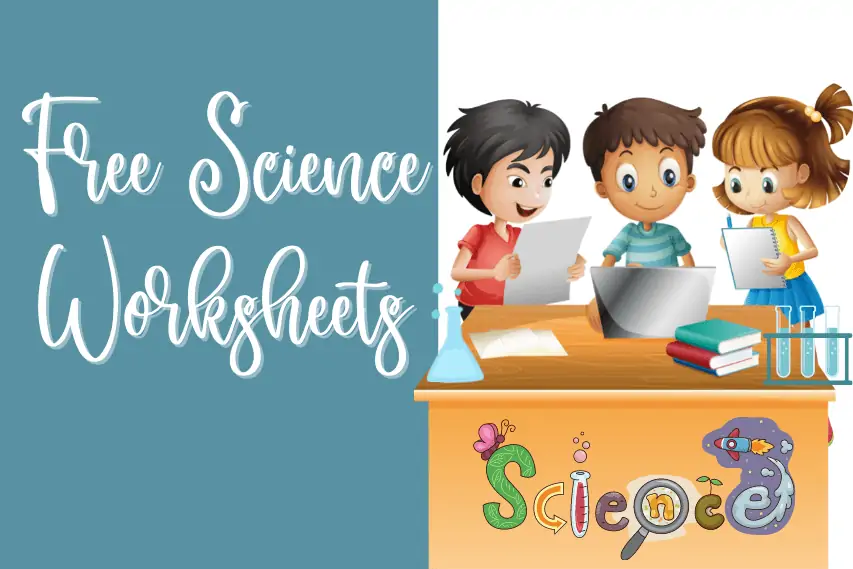 47 Best Free Science Worksheets For Elementary Grades