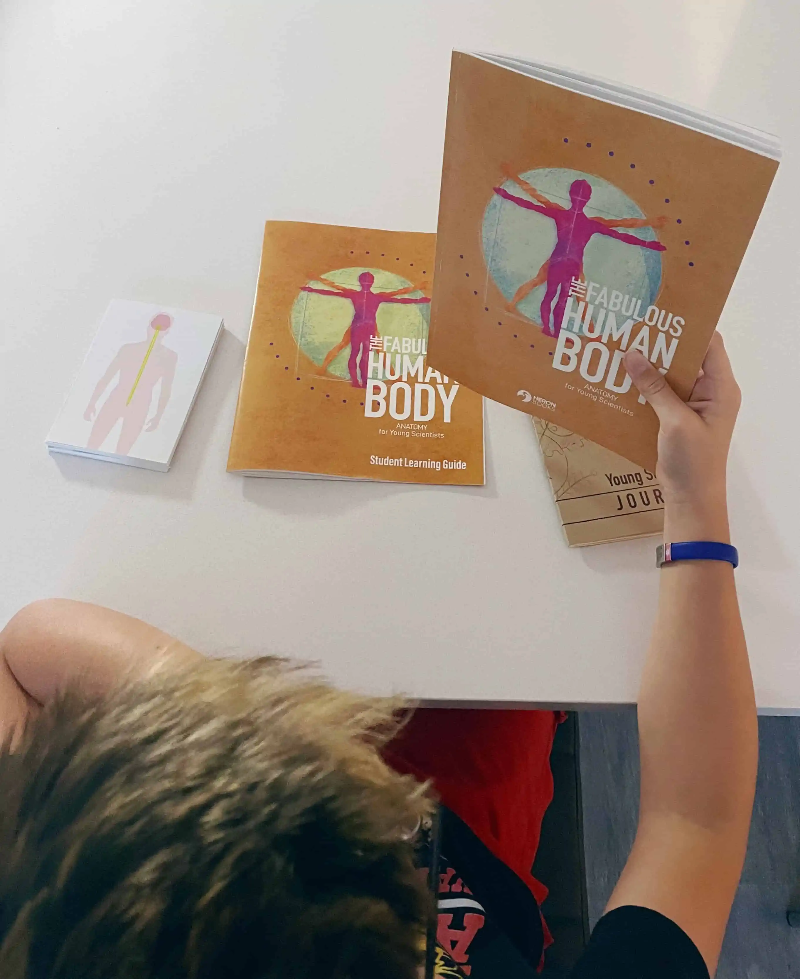 Heron Books Review: Young Scientist Series