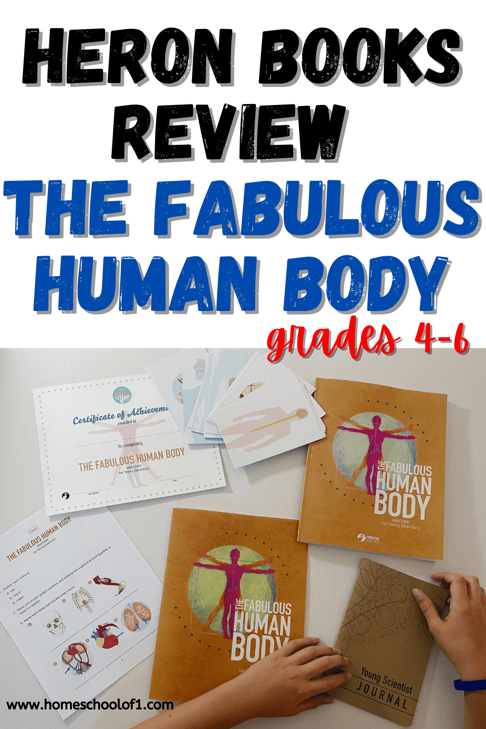 heron books review the fabulous human body