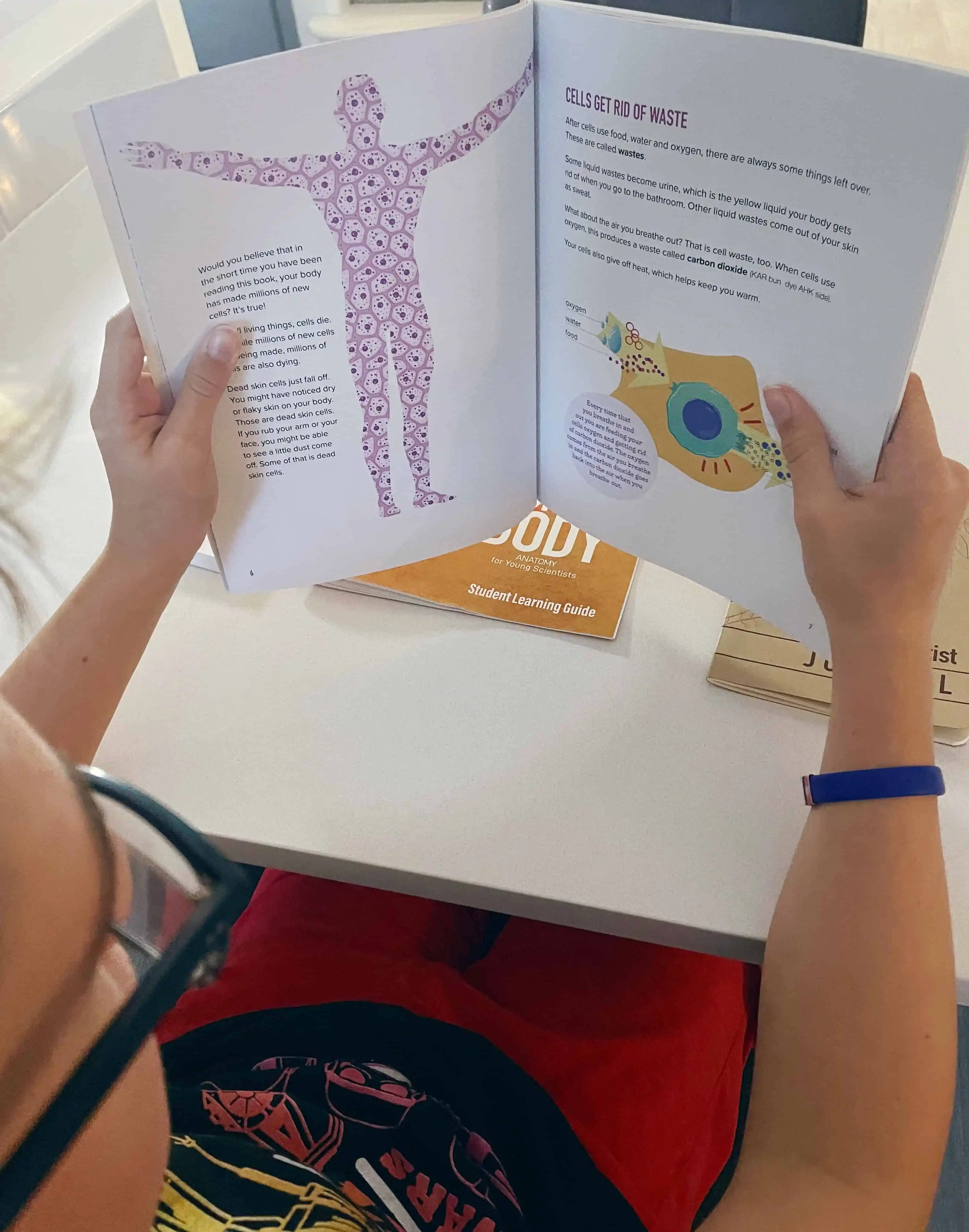 heron books review the fabulous human body