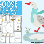 life cycle of a goose