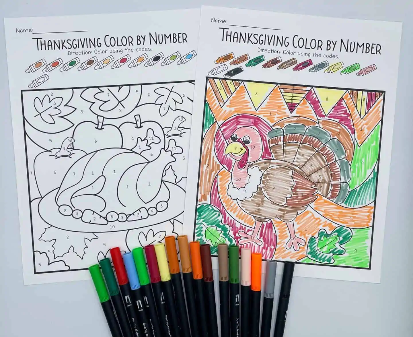 turkey color by number