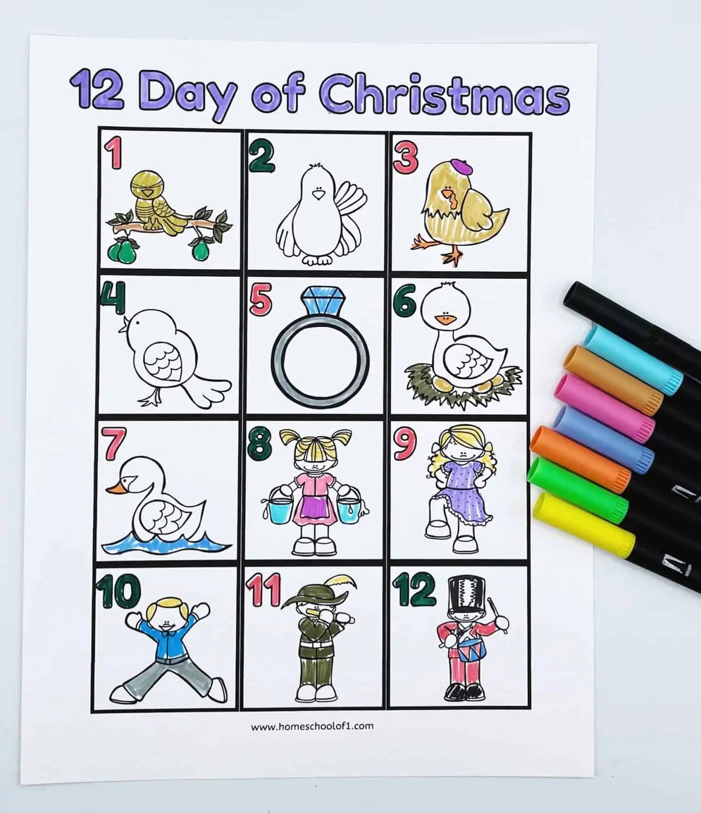 12 DAYS OF CHRISTMAS