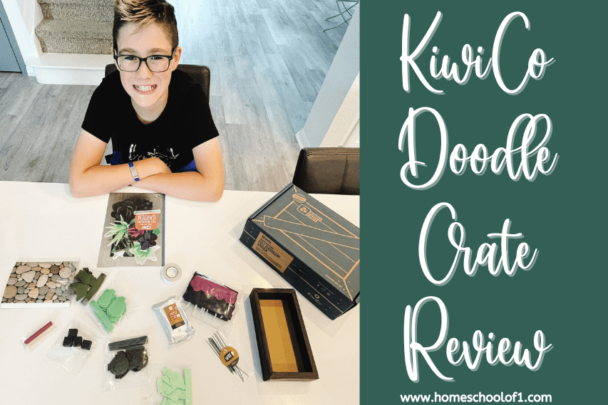 kiwico doodle crate review