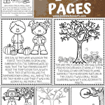FALL SHORT STORY