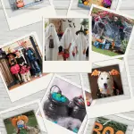Halloween photos for scavenger hunt