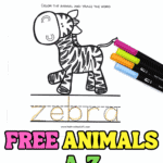 Z is for Zebra free printable worksheet with coloring and handwriting practice. Alphabet animal tracing page for early learners.