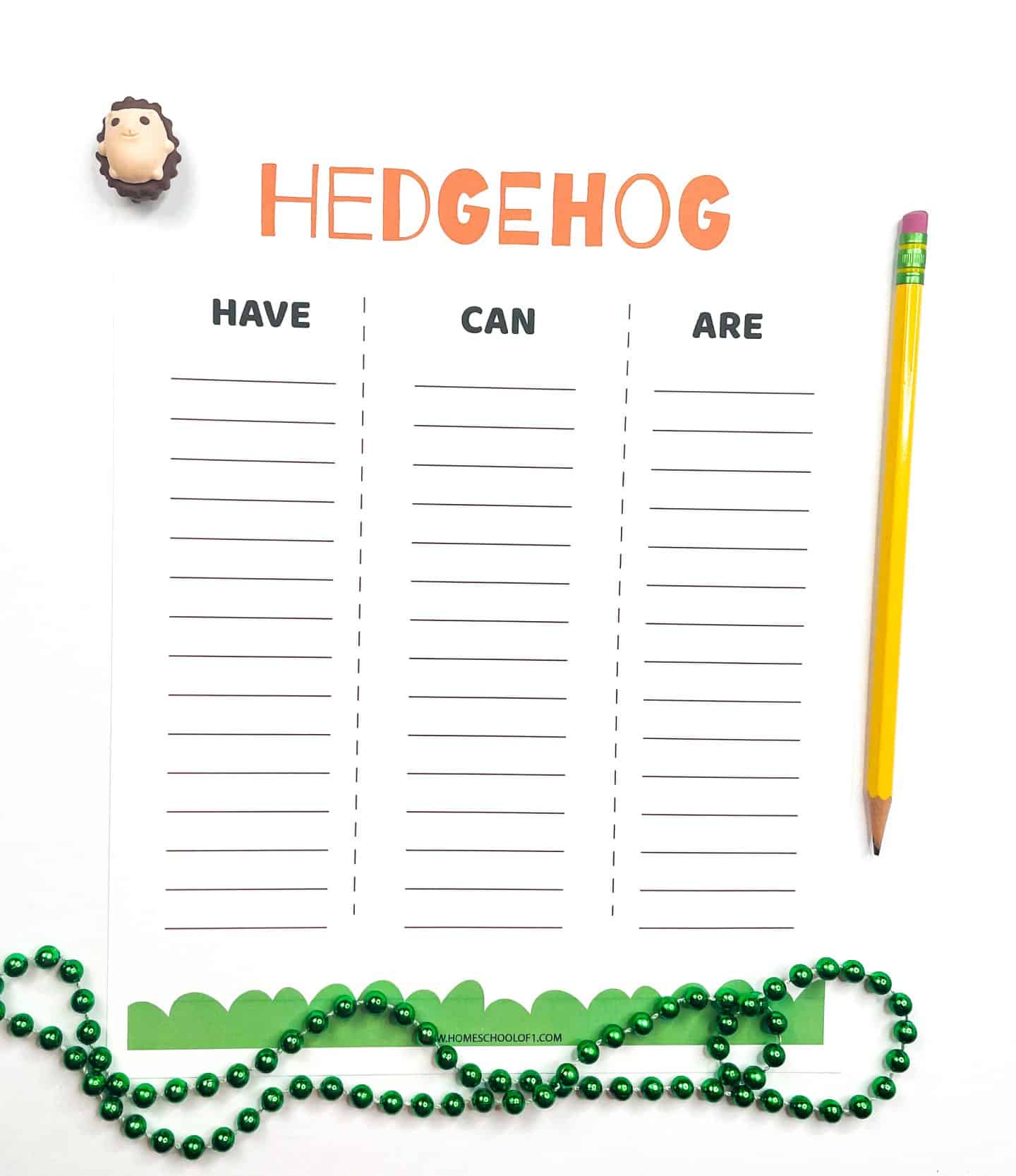 Hedgehog worksheet with columns labeled “Have,” “Can,” and “Are” for writing facts, shown with a pencil, hedgehog eraser, and green beads.