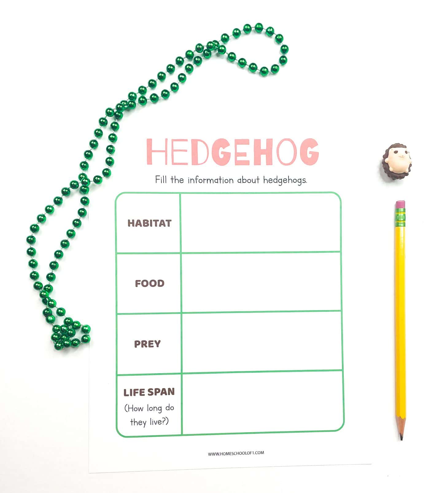 Hedgehog fact worksheet with sections for habitat, food, prey, and lifespan, shown with green beads, a pencil, and a hedgehog eraser.