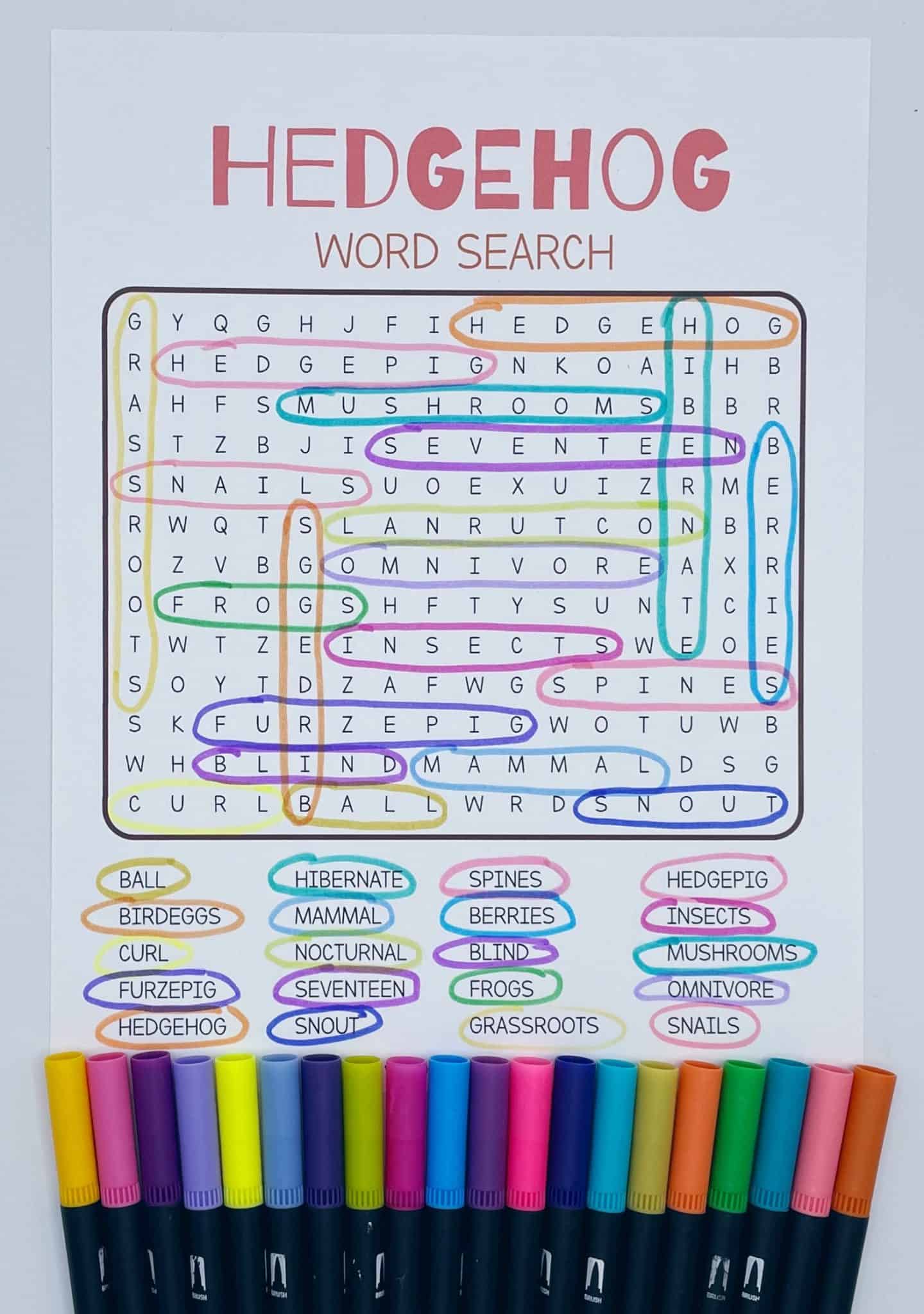 Colorful hedgehog-themed word search worksheet with 24 words circled, shown with an array of colorful markers.