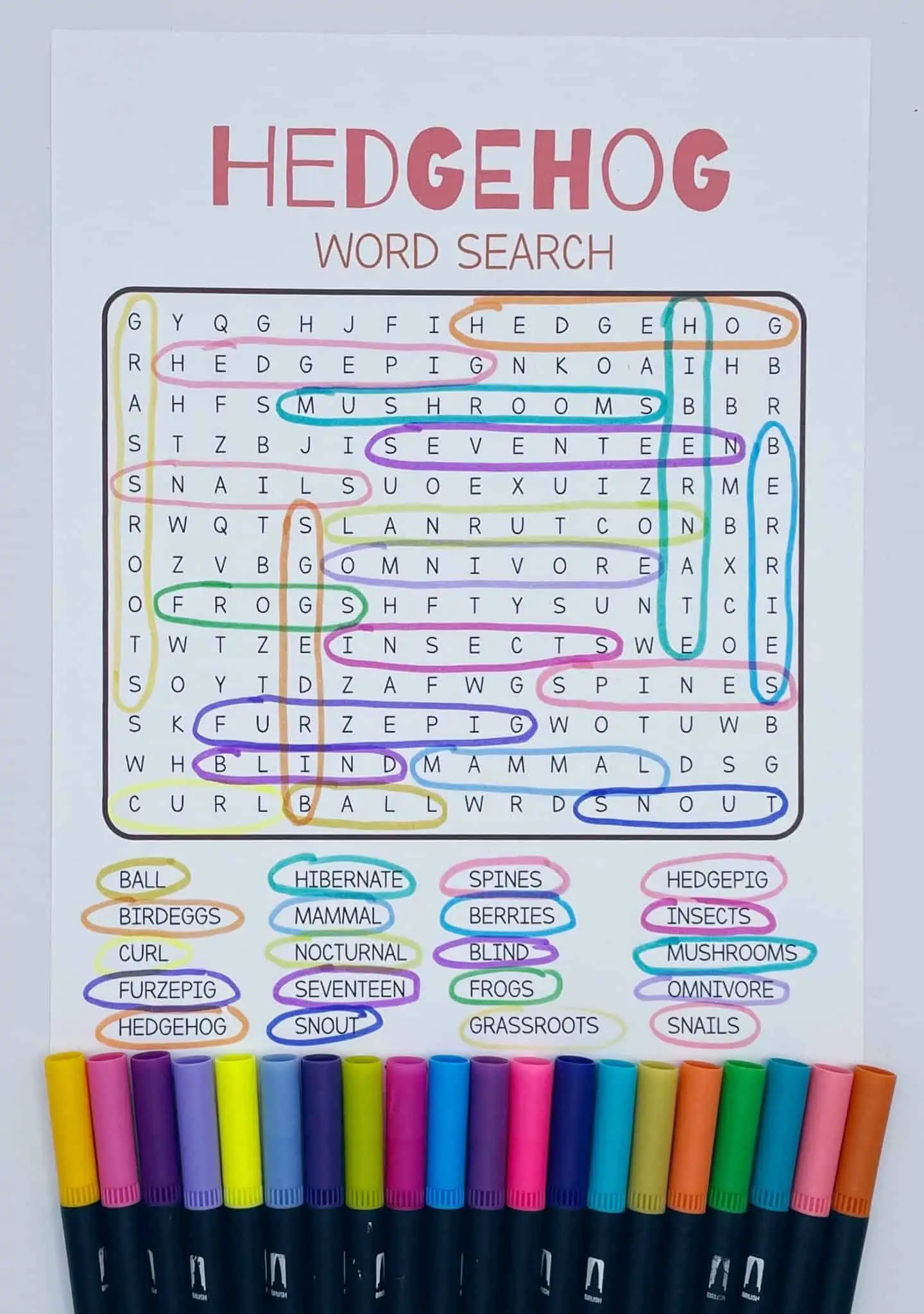 hedgehog word search
