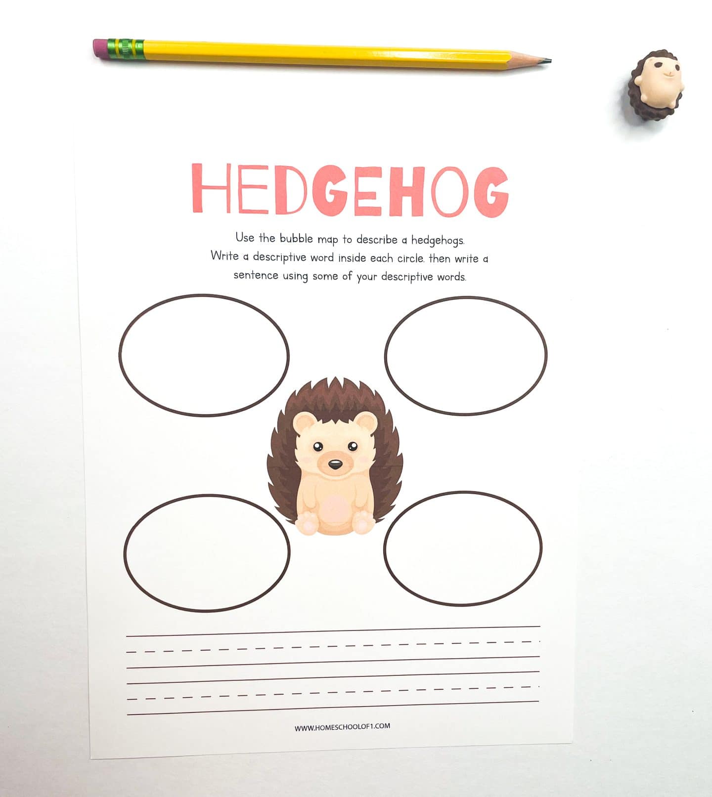 Hedgehog-themed worksheet with a bubble map for writing descriptive words and sentences, shown with a pencil and hedgehog eraser.
