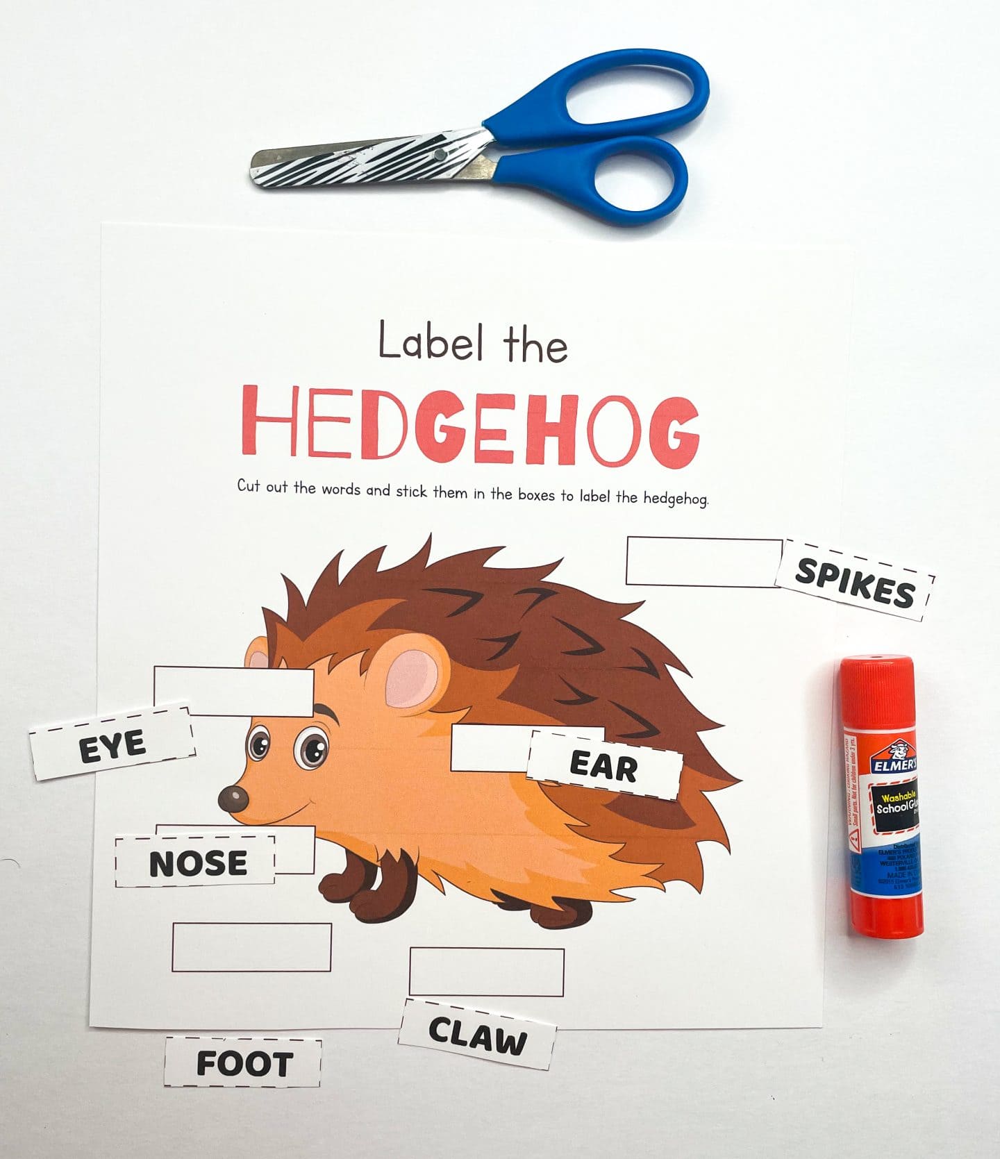 label the hedgehog worksheet with a glue stick