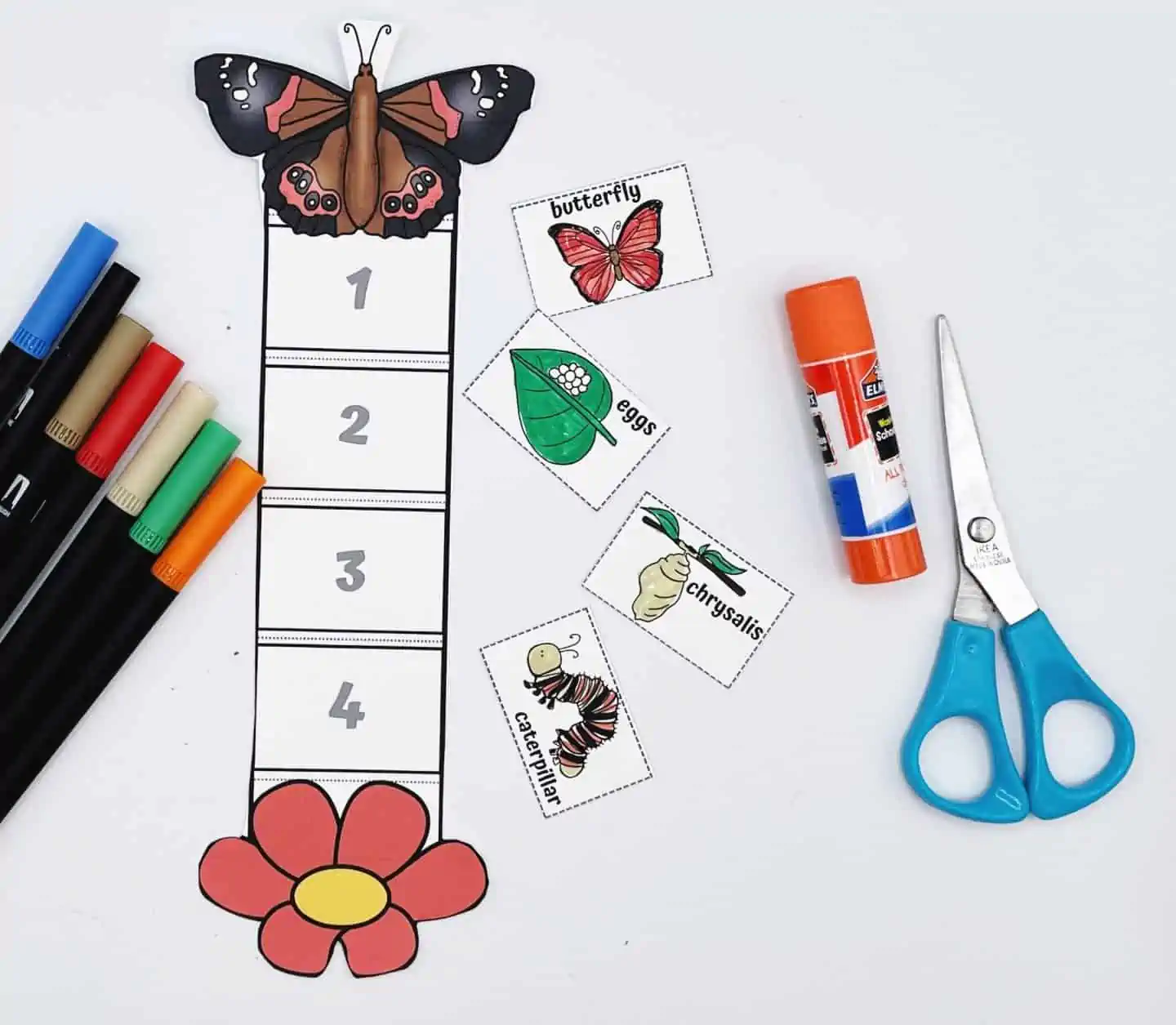 life cycle of a butterfly craft finished