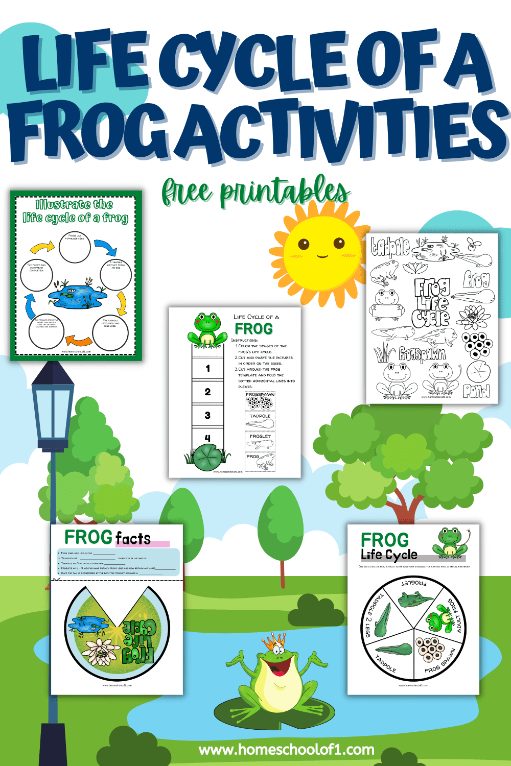 life cycle of a frog worksheet