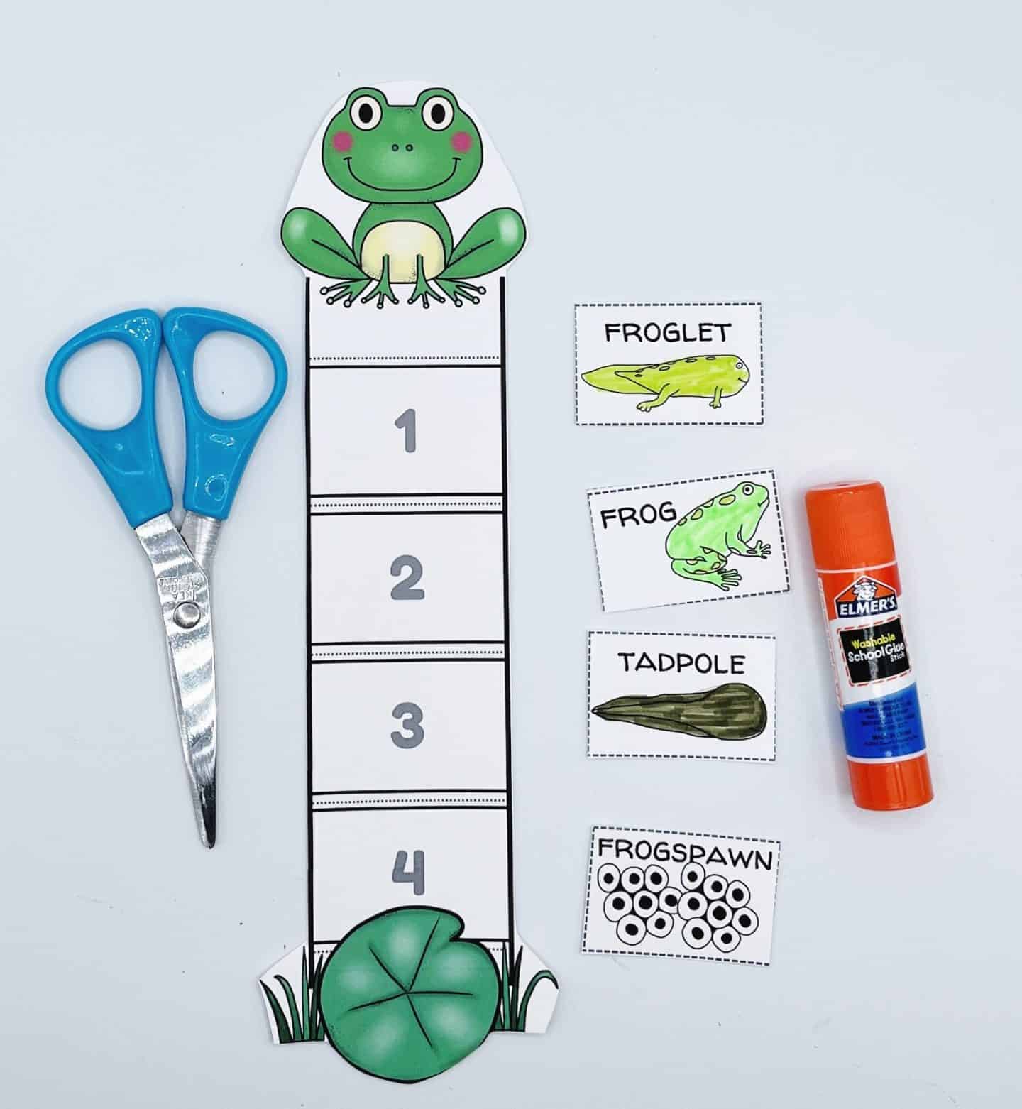 Life cycle of a frog activity with numbered boxes, frog template at the top, and printed pictures for frogspawn, tadpole, froglet, and frog. Scissors and glue stick are placed next to the activity.