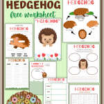 life cycle of a hedgehog