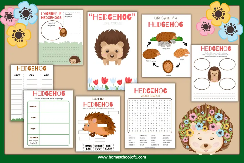 Life Cycle of a Hedgehog Worksheets (8 free pages)