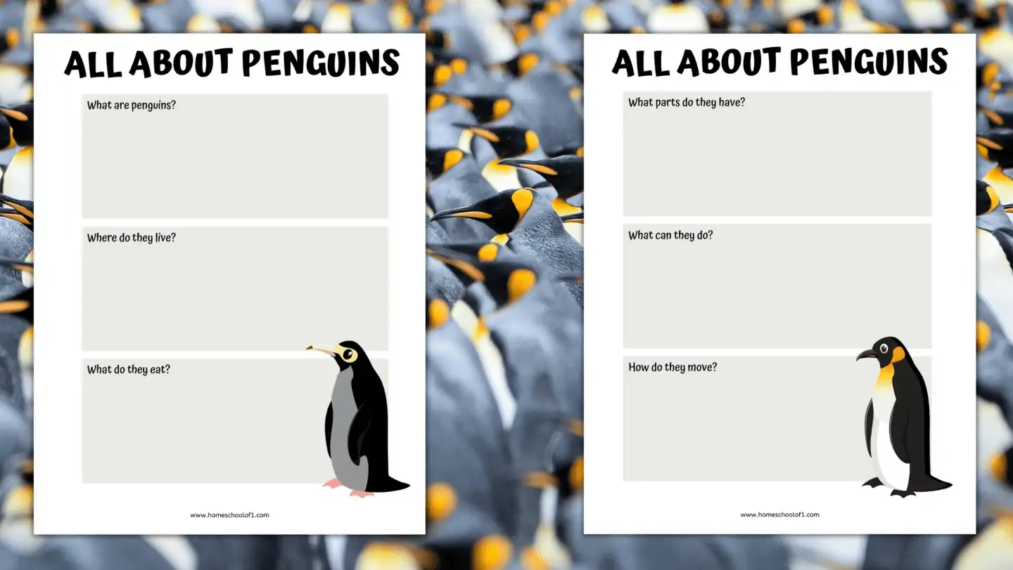 all about penguins