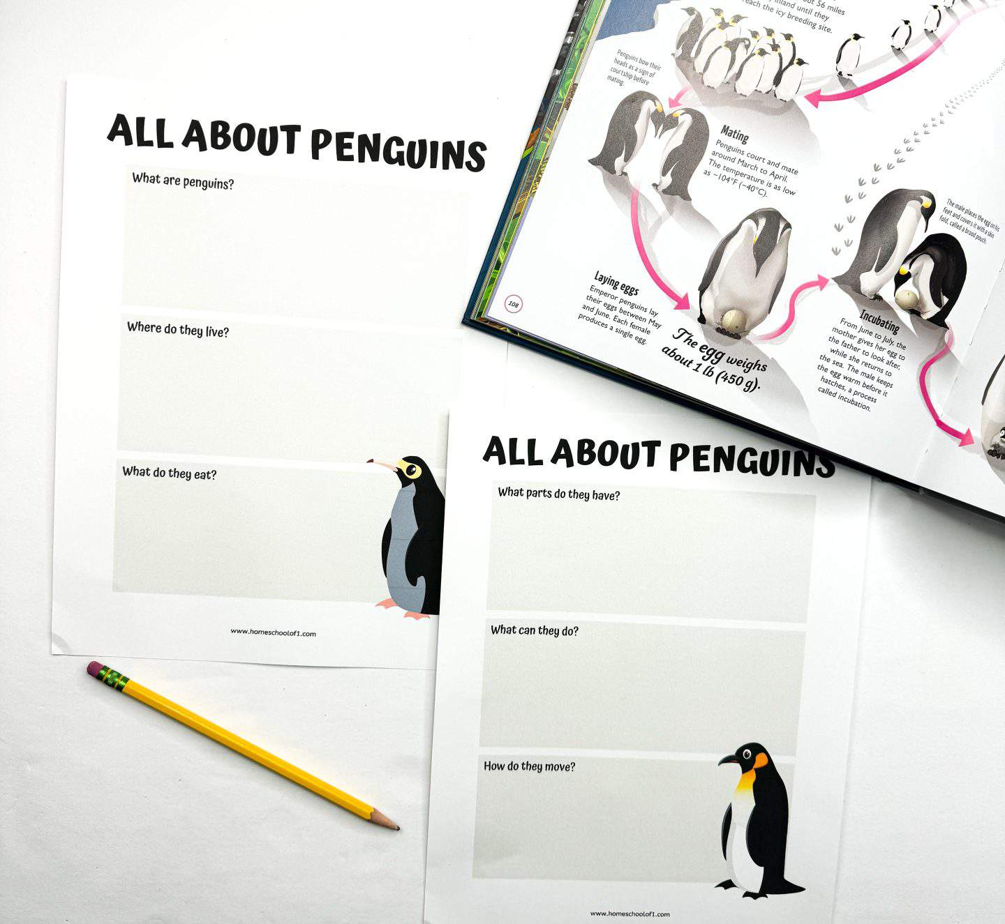 Worksheets titled All About Penguins lay on a white surface, featuring sections for questions like What are penguins? and Where do they live? alongside a pencil and an open book with penguin illustrations.
