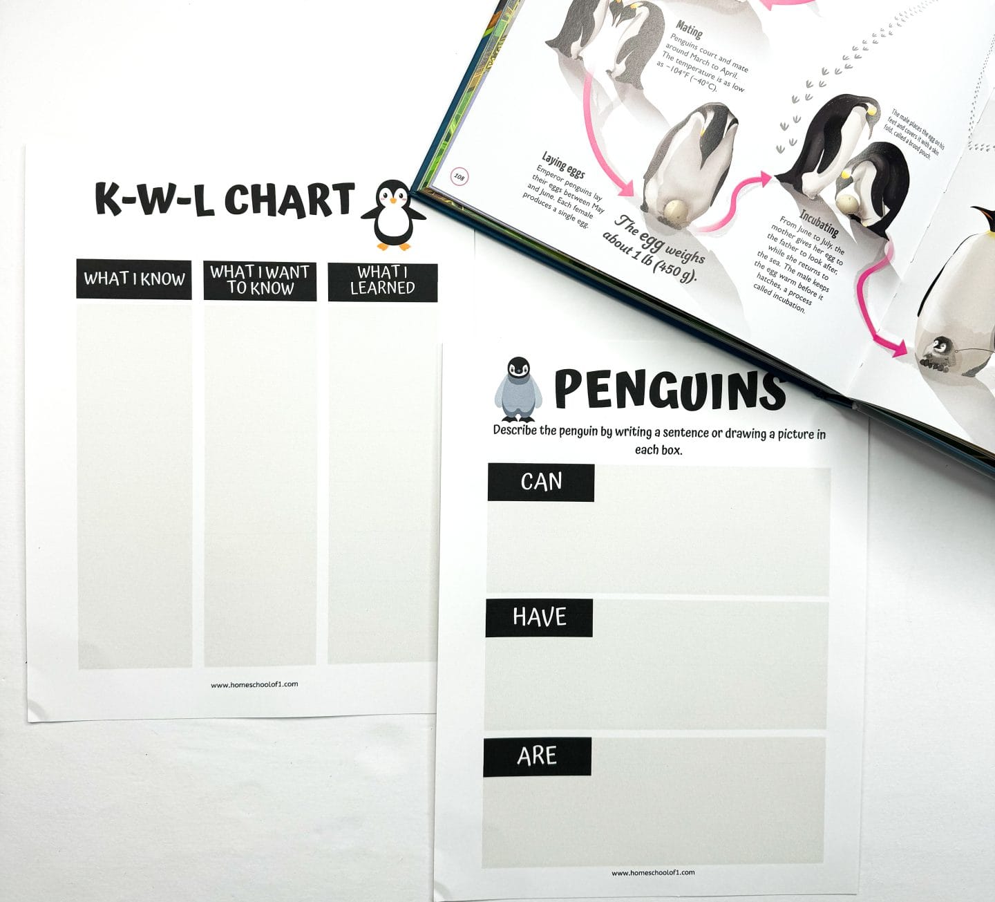 A K-W-L chart and a penguin-themed worksheet are on a flat surface. The K-W-L chart has sections labeled What I Know, What I Want to Know, and What I Learned. A worksheet has boxes labeled Can, Have, and Are. An open book with penguin illustrations is nearby.
