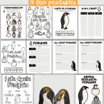 10 Free Life Cycle of a Penguin Worksheets