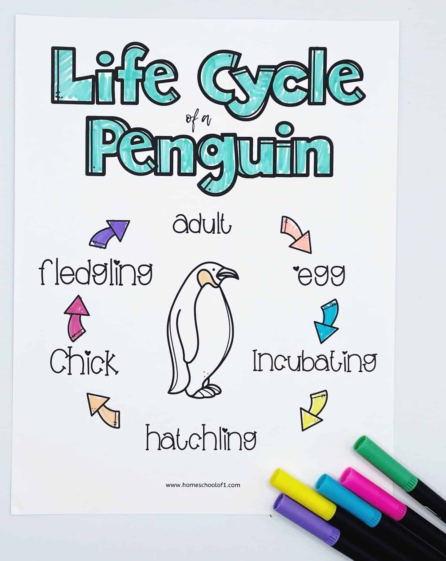 Illustration of the life cycle of a penguin, featuring stages: egg, incubating, hatchling, chick, fledgling, and adult. Arrows connect each stage in a circular pattern around a central penguin drawing. Colored markers lie at the bottom right.
