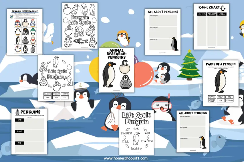 10 Free Life Cycle of a Penguin Worksheets