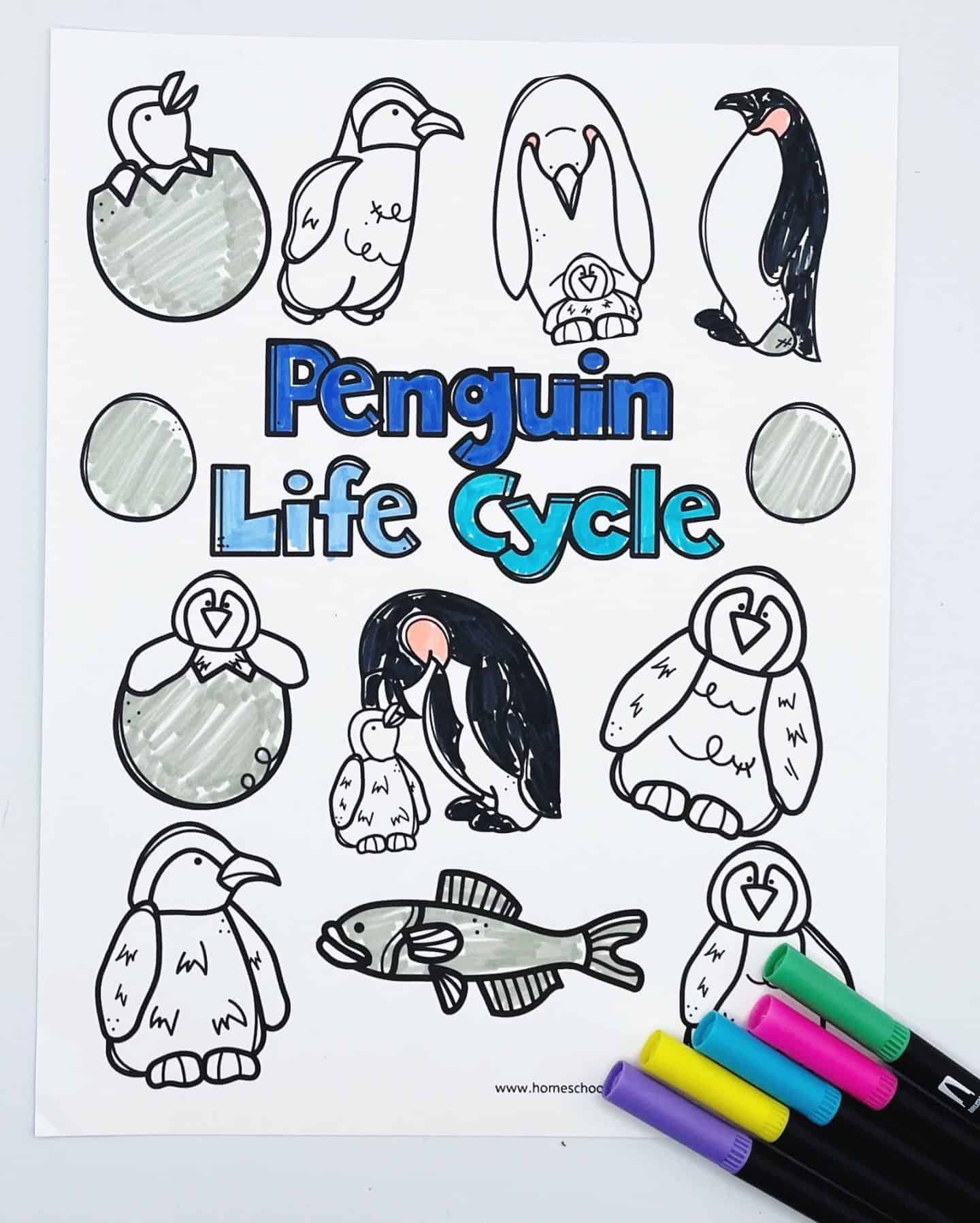 Coloring page depicting the penguin life cycle with drawings of penguin eggs, chicks, and adults. The text Penguin Life Cycle is in the center. Markers in black, green, blue, purple, and pink are in the lower right corner.
