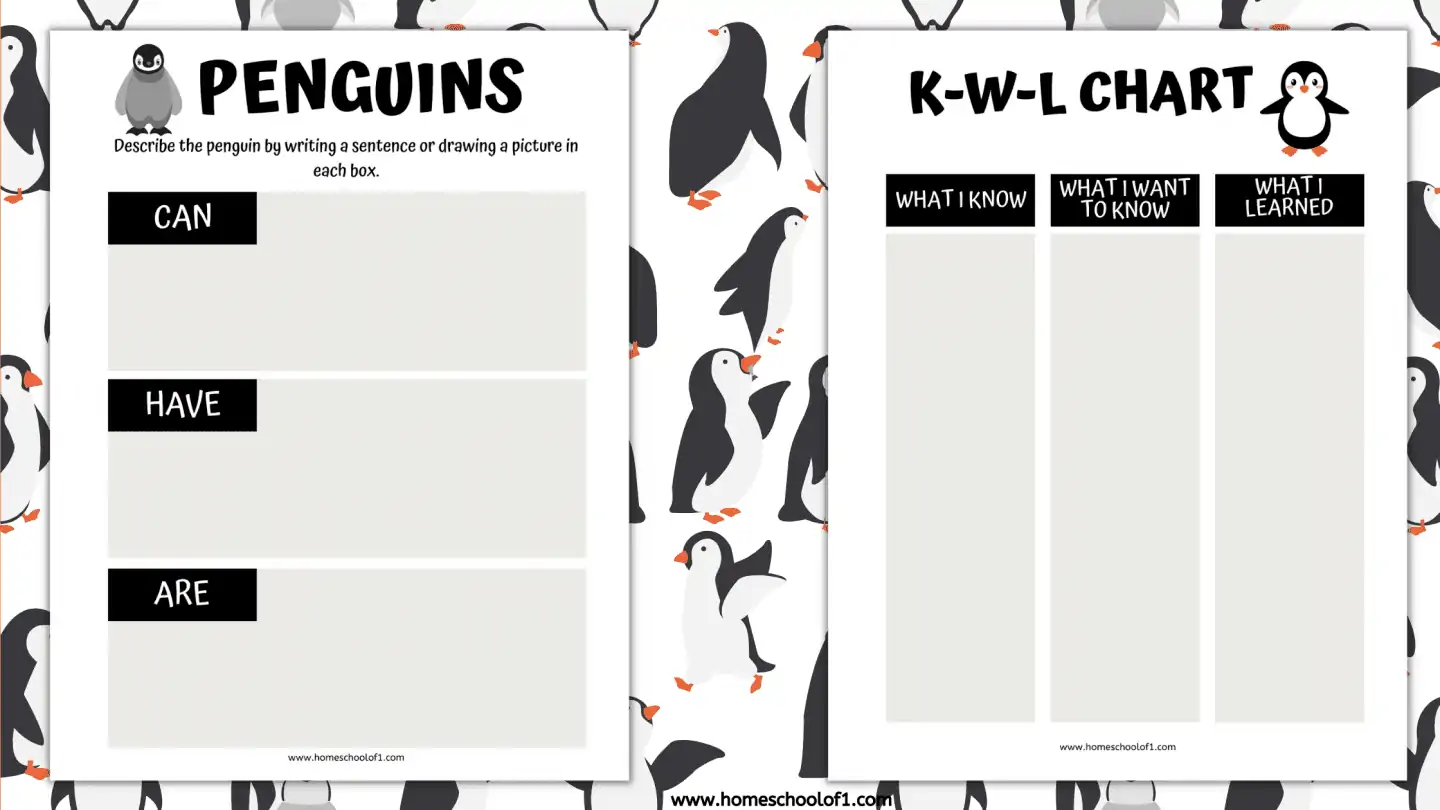 penguins