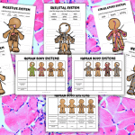 human body worksheets