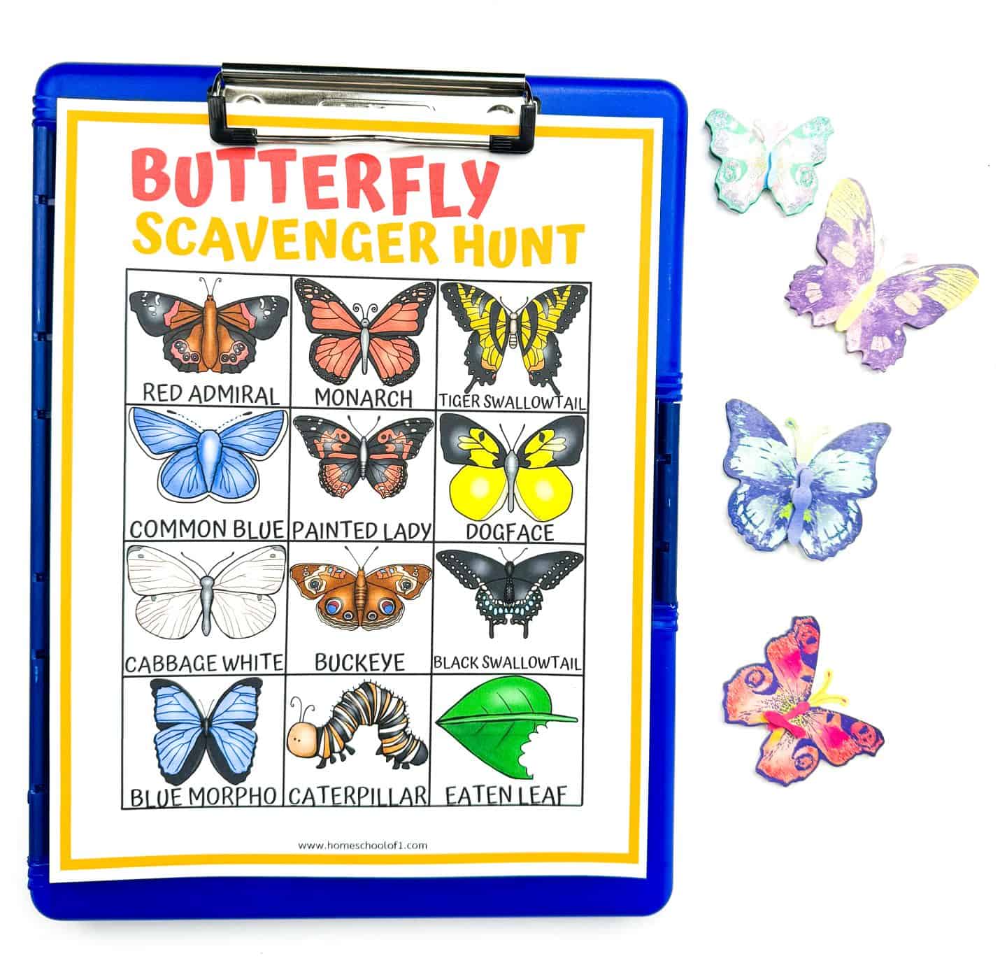 Colorful butterfly scavenger hunt sheet clipped to a blue clipboard, featuring illustrations and names of various butterflies and insects such as Red Admiral, Monarch, Tiger Swallowtail, Blue Morpho, Caterpillar, and an Eaten Leaf. Paper butterflies are arranged on the right side for decoration or matching