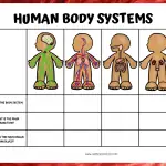 Free Printable Human Body Systems Worksheets For Kids