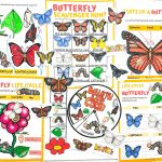 A colorful collage of free printable butterfly-themed worksheets for kids, featuring activities like the butterfly life cycle, parts of a butterfly, a scavenger hunt, and labeling stages such as egg, caterpillar, chrysalis, and butterfly. Each page includes bright illustrations, diagrams, and interactive elements designed for hands-on learning.