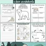 polar bear life cycle