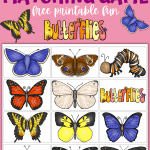 butterfly matching game