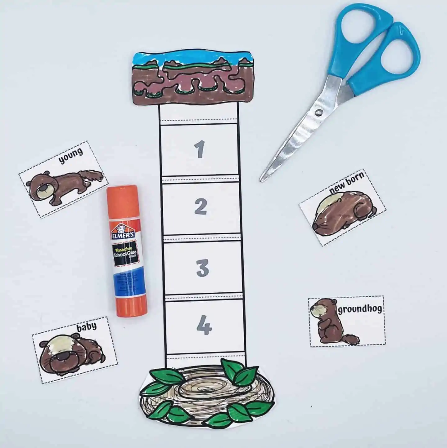 Life Cycle of a Groundhog Worksheets (8 Free Printables)